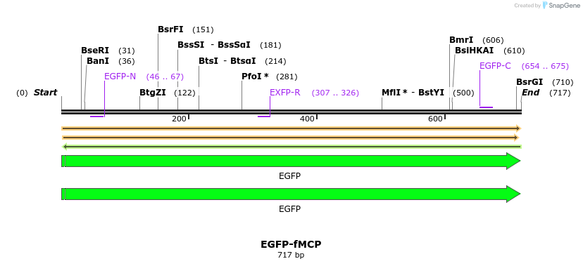 469077_map