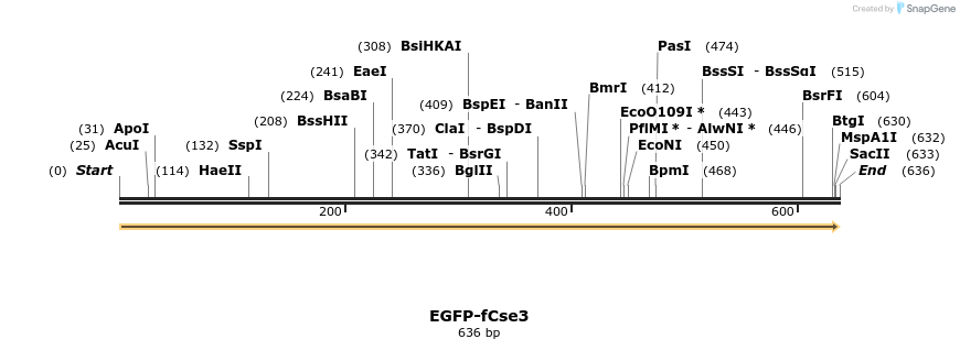 469084_map