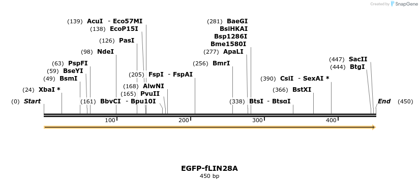 469087_map