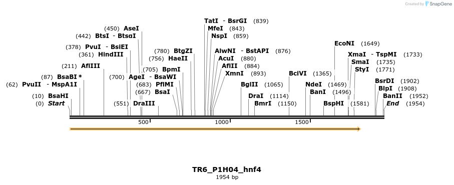 469733_map