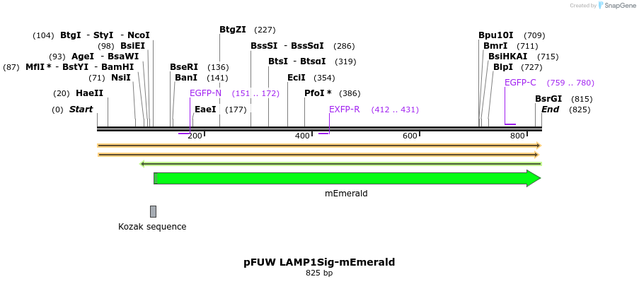 471319_map