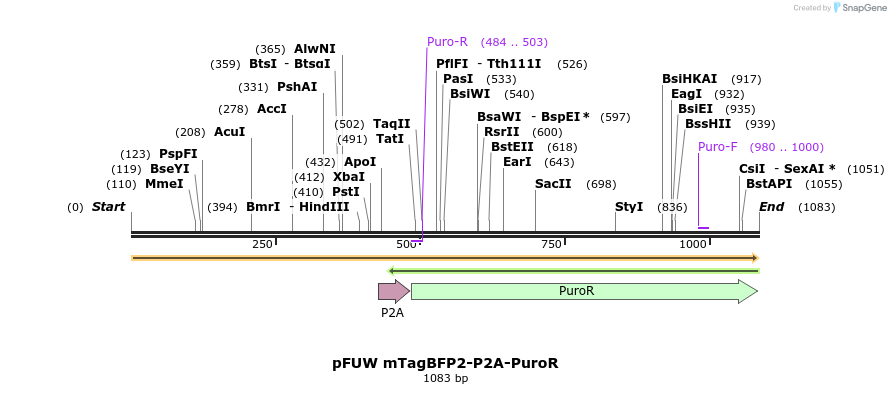 471329_map