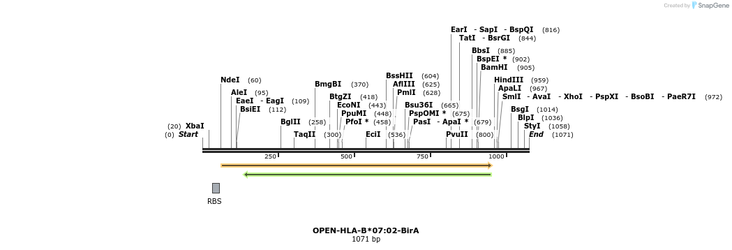472126_map