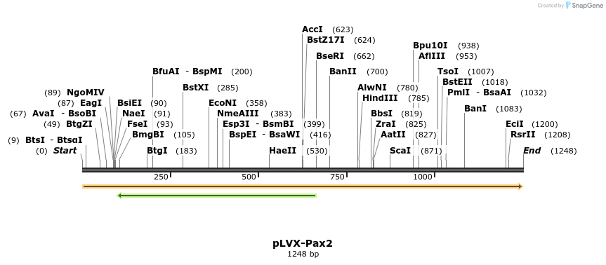 476802_map