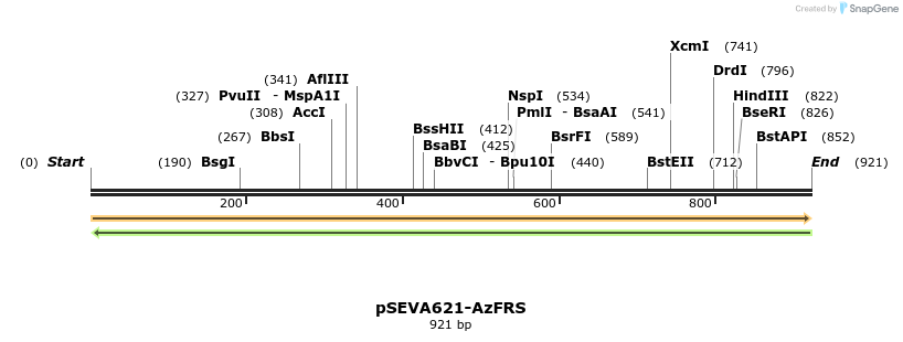 477202_map