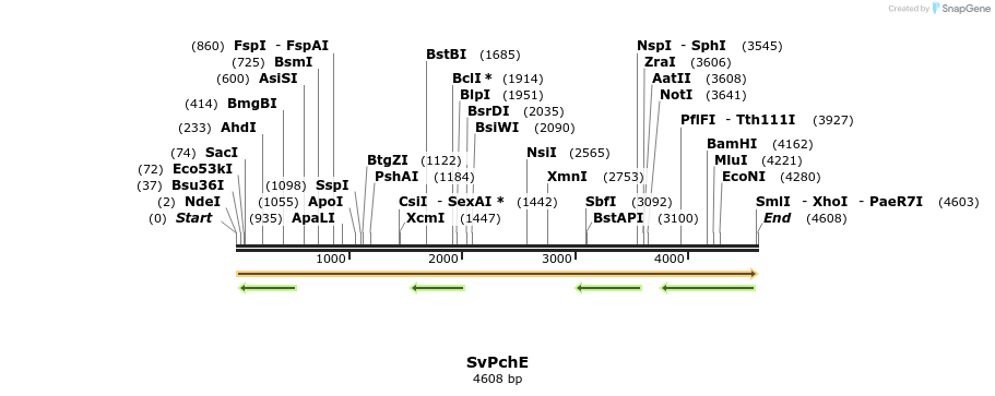 477451_map