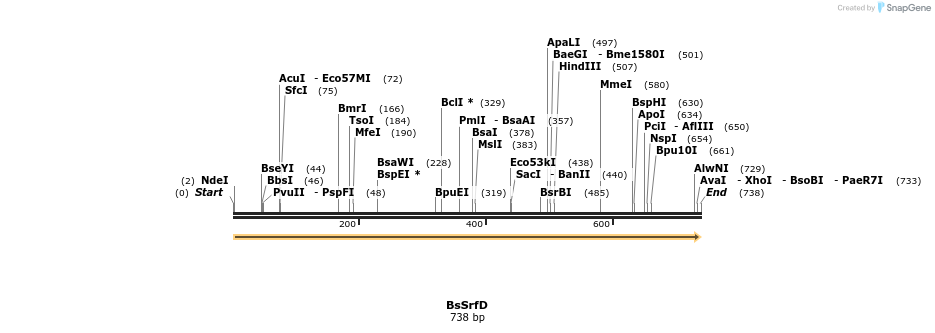 477453_map