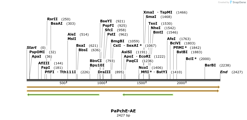 477454_map