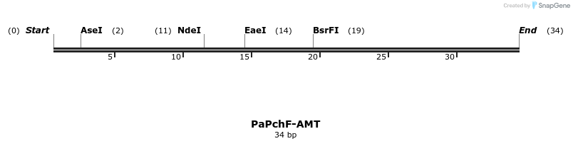 477455_map