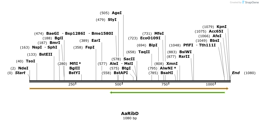 477460_map