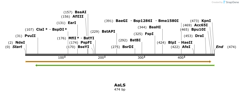 477461_map