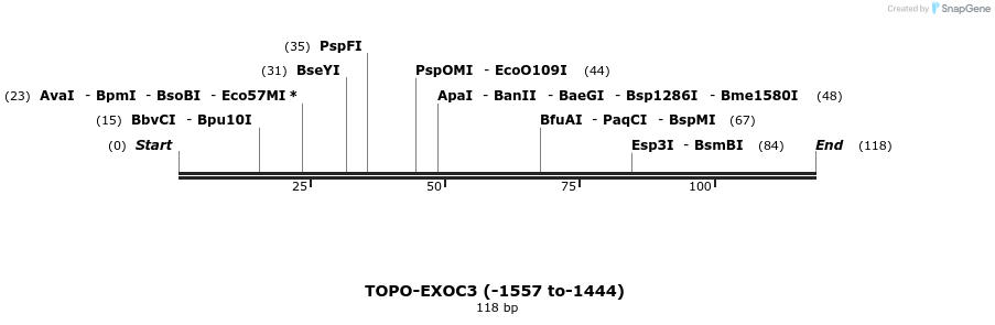 478228_map