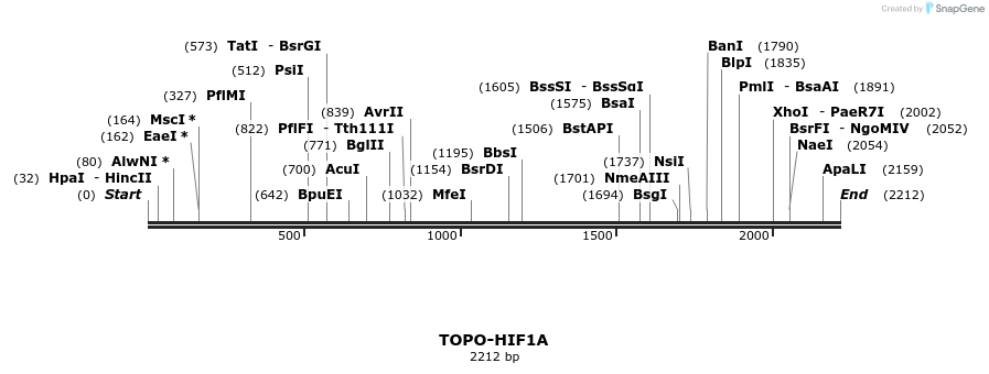 478234_map