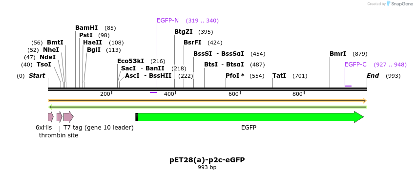 478606_map