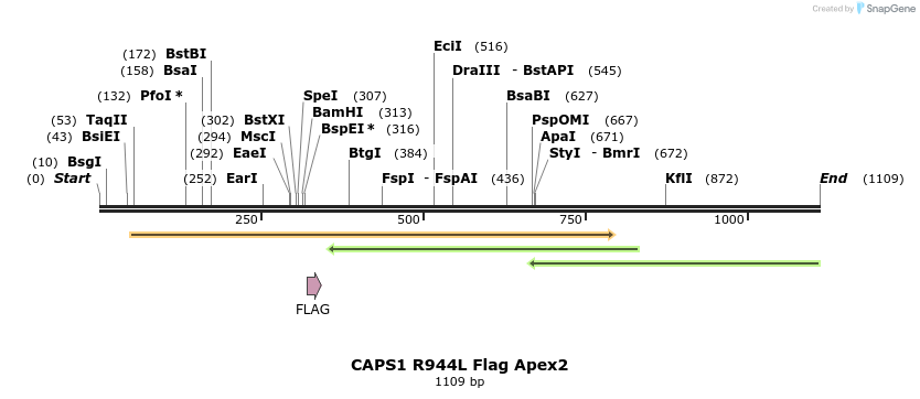 482116_map