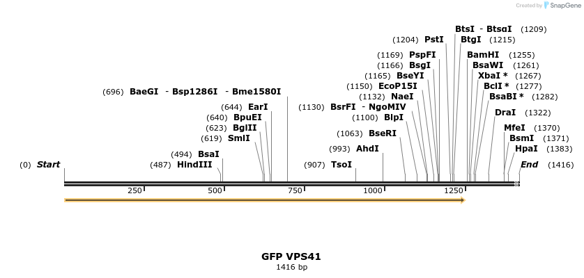 482119_map