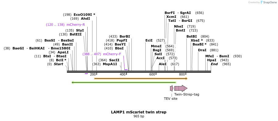 482120_map