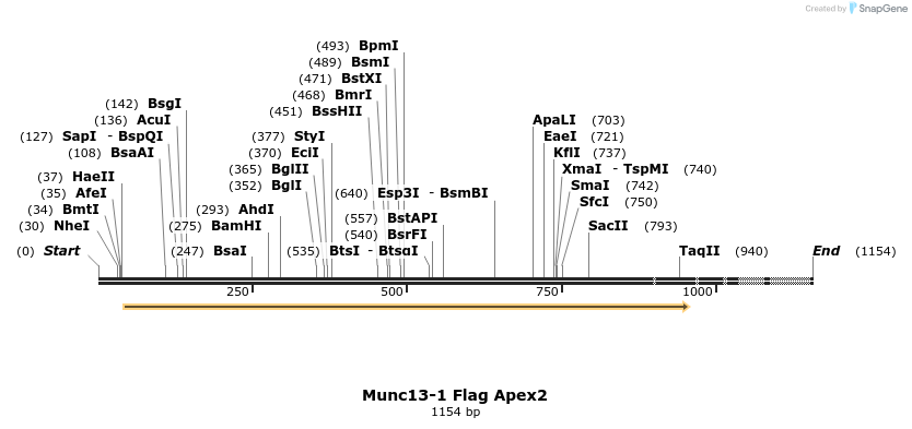 482121_map