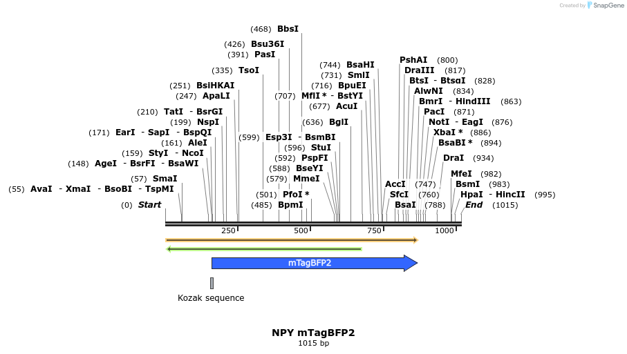 482127_map
