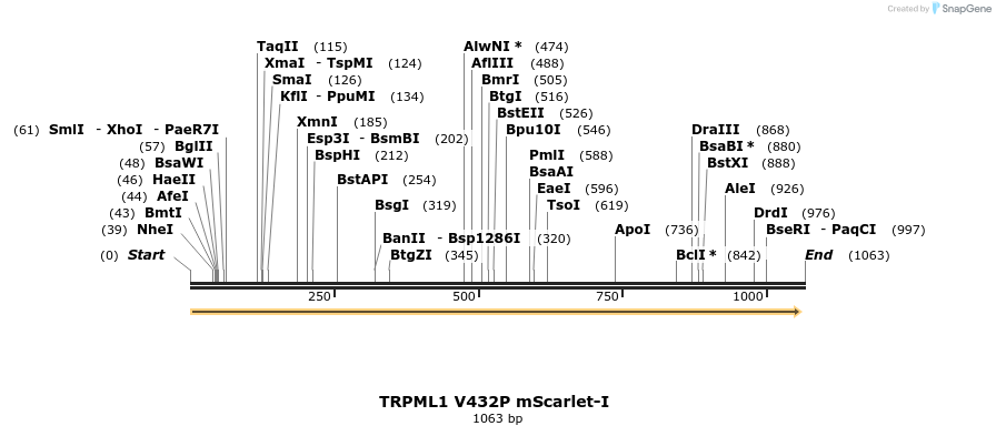482132_map