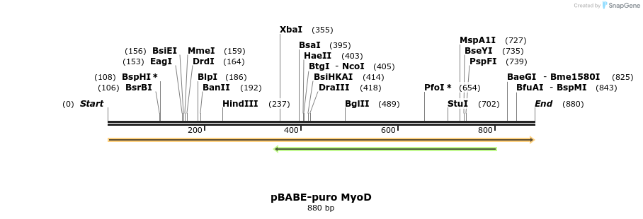 48313_map