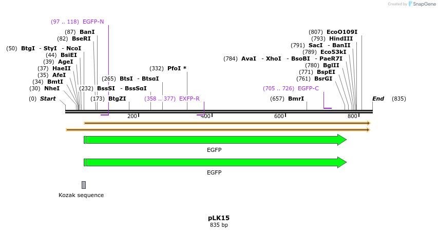 50823_map