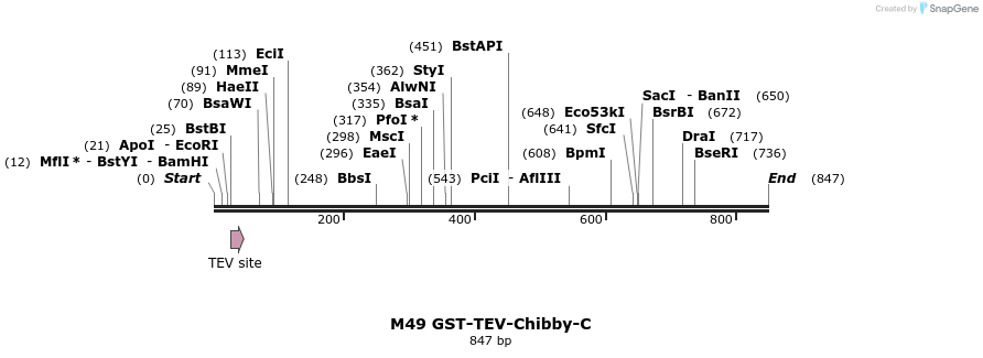 53513_map