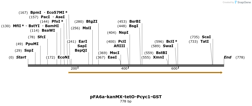 55609_map