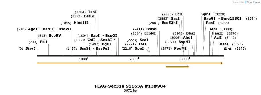 56855_map