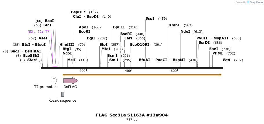 57399_map