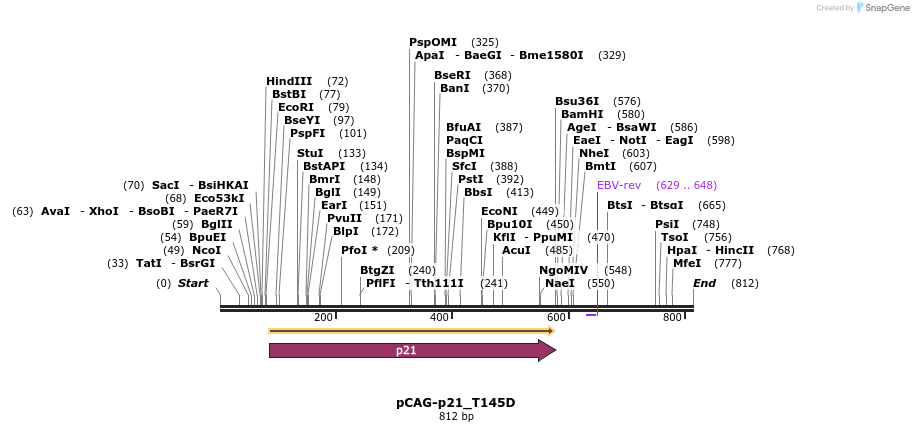 59727_map