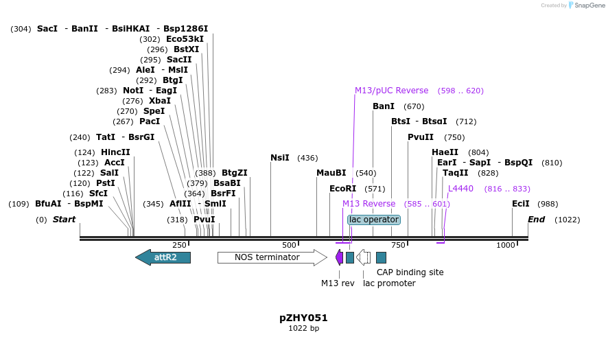 63726_map