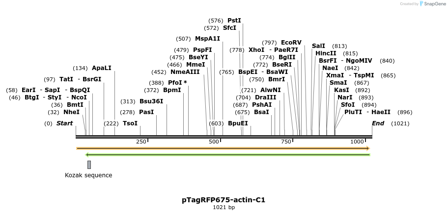 63956_map