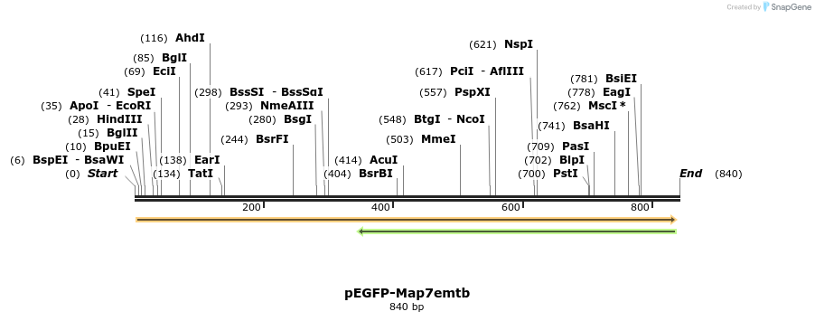 66381_map