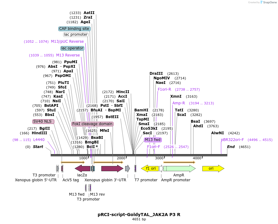 67019_map