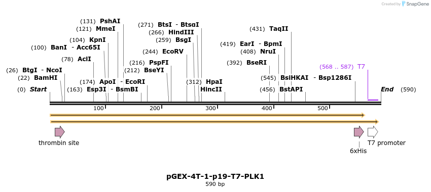 67493_map