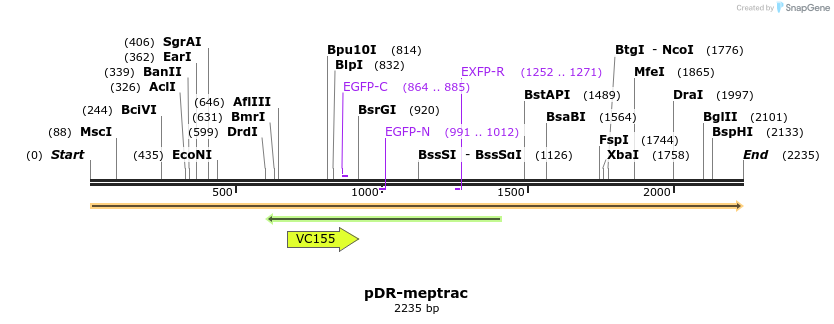 68732_map