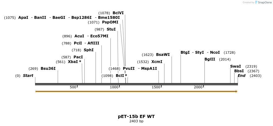 6890_map
