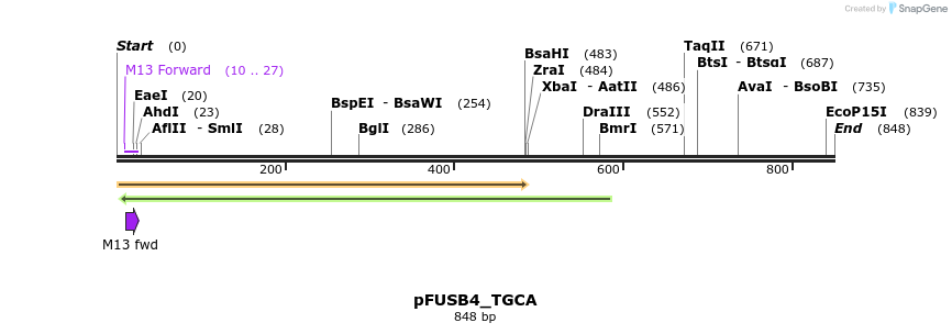 71379_map