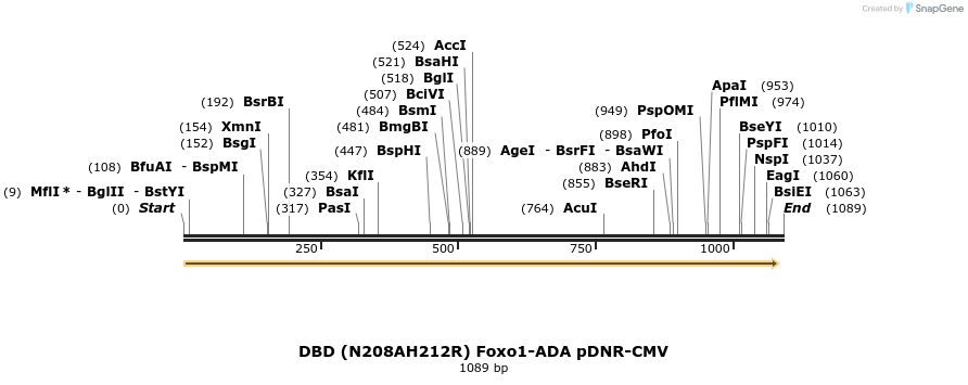 72039_map