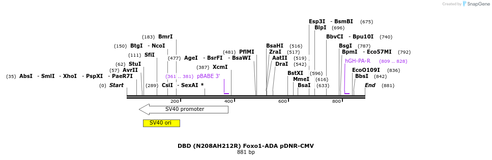 72052_map