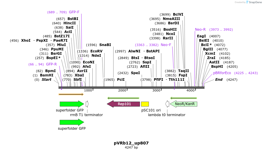74095_map