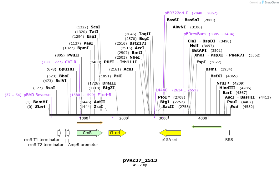 74181_map