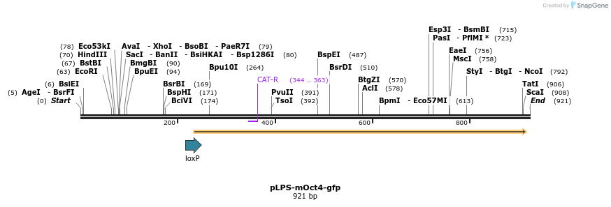 75111_map