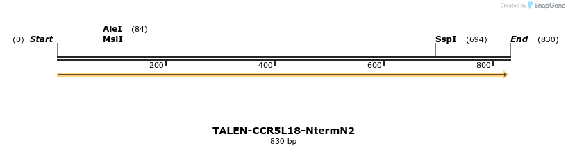 78462_map