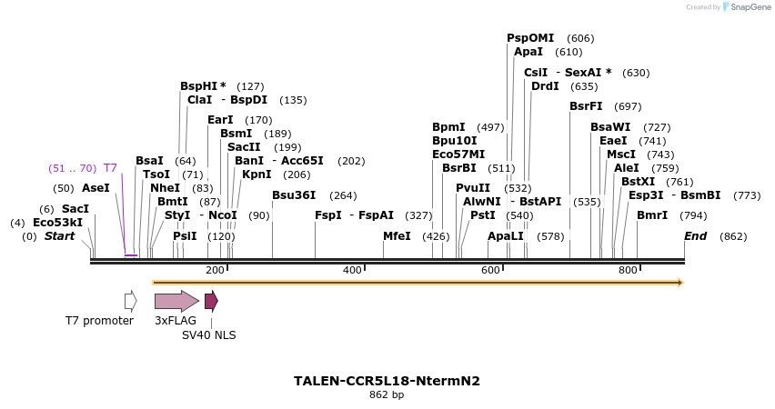 81200_map