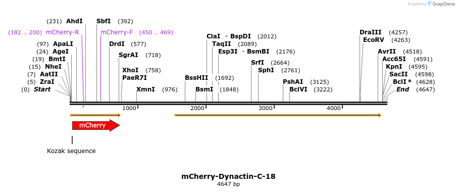 85417_map