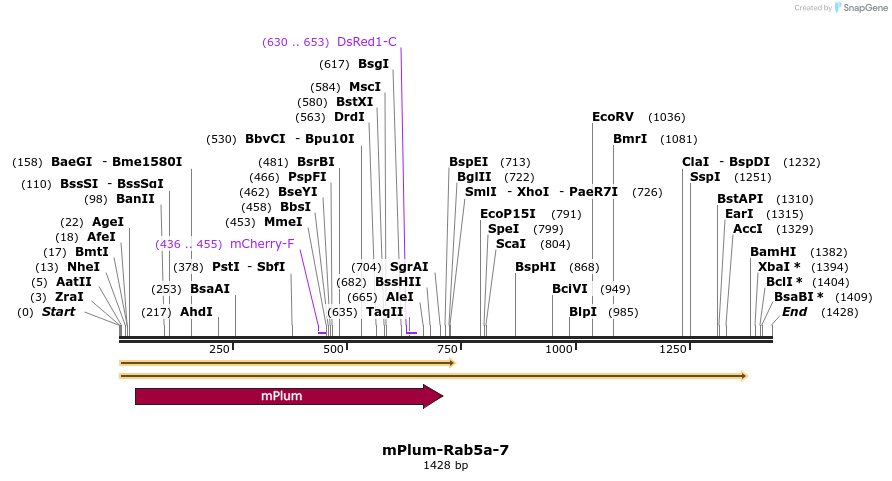 86902_map