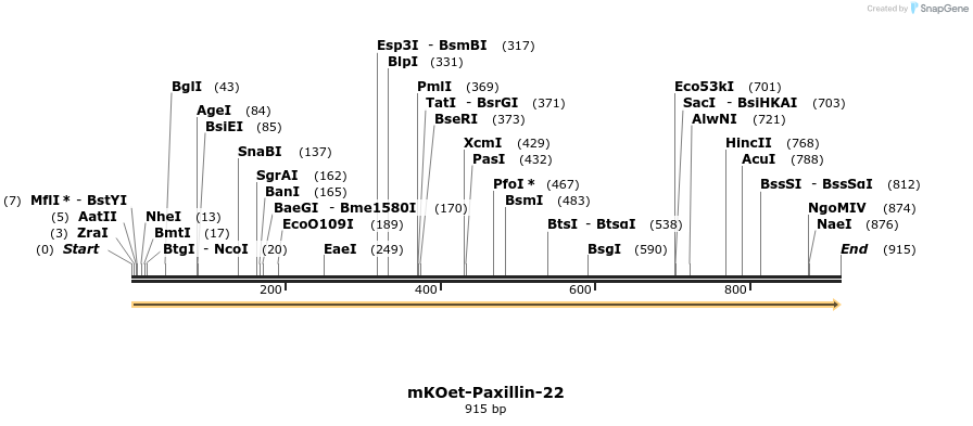 89080_map