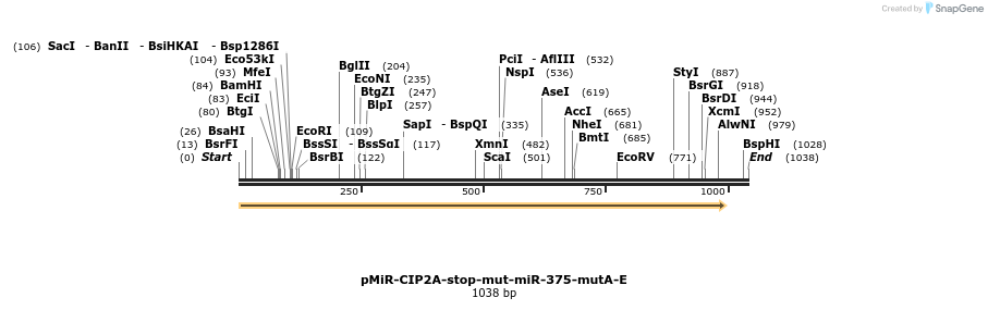91063_map
